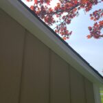 Shed Roof Overhangs